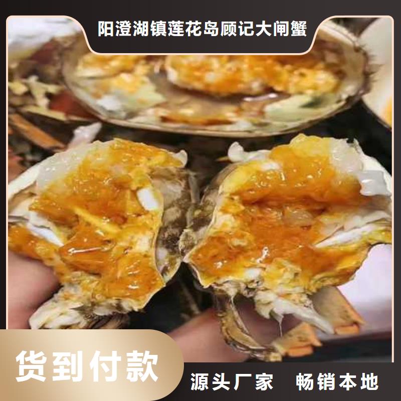 陽澄湖大閘蟹膏肥肉美