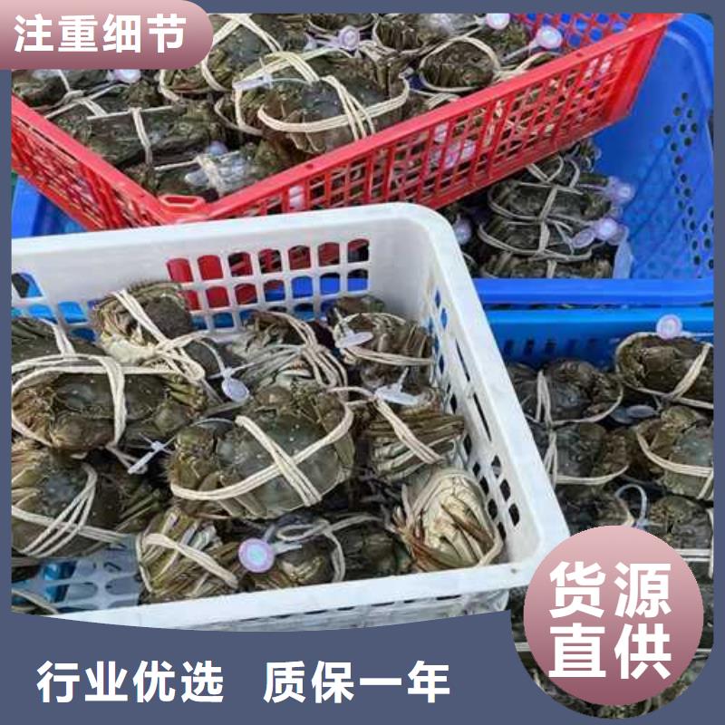 【大闸蟹】,阳澄湖大闸蟹多少钱真实拍摄品质可靠-服务区域包括黄南|海北|西宁|海南|果洛|海东|玉树等-产品视频