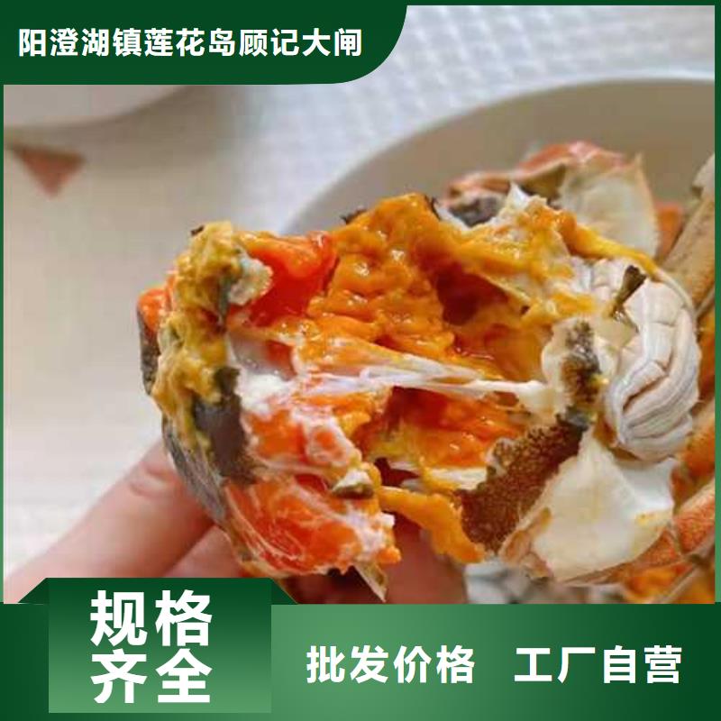 翼城阳澄湖大闸蟹膏肥肉美