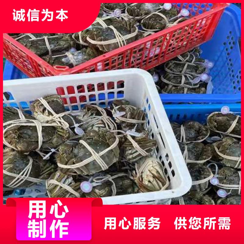 通许县阳澄湖大闸蟹网上订购