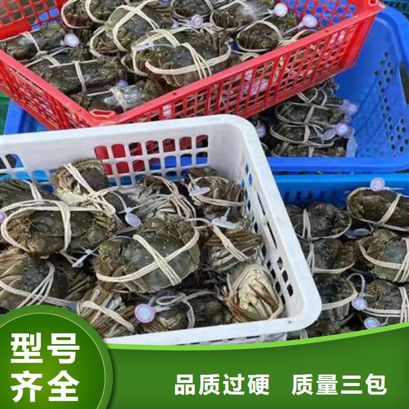 阳澄湖大闸蟹