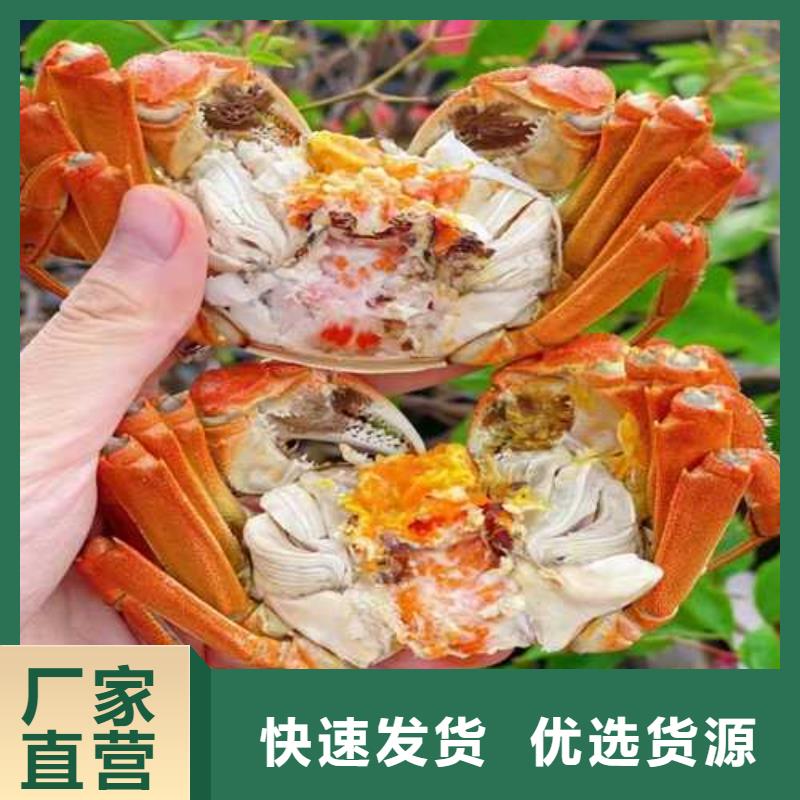 陽澄湖大閘蟹價格