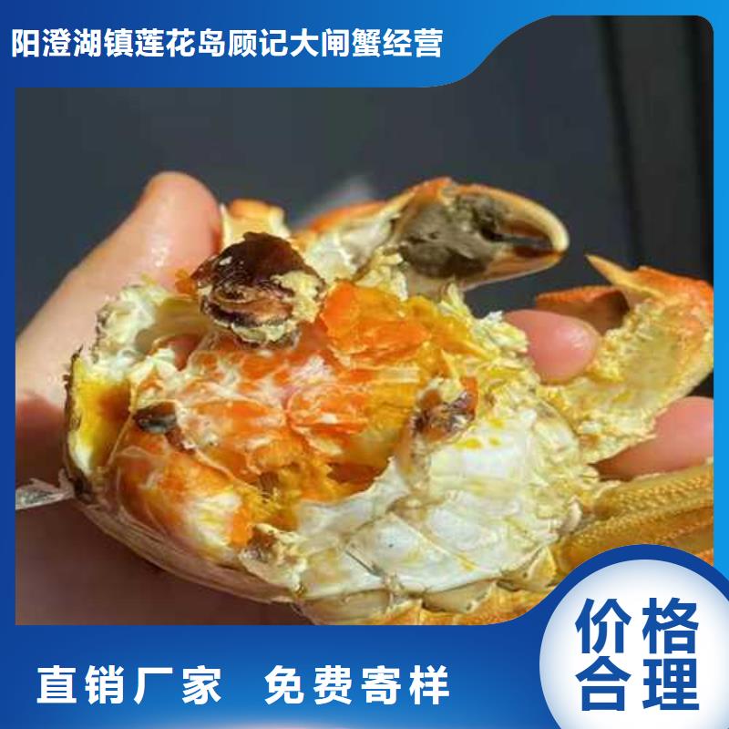 超大闸蟹优良品质