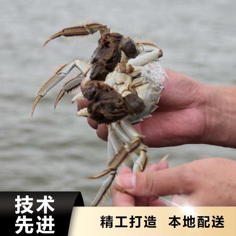 鲜活阳澄湖螃蟹团购券