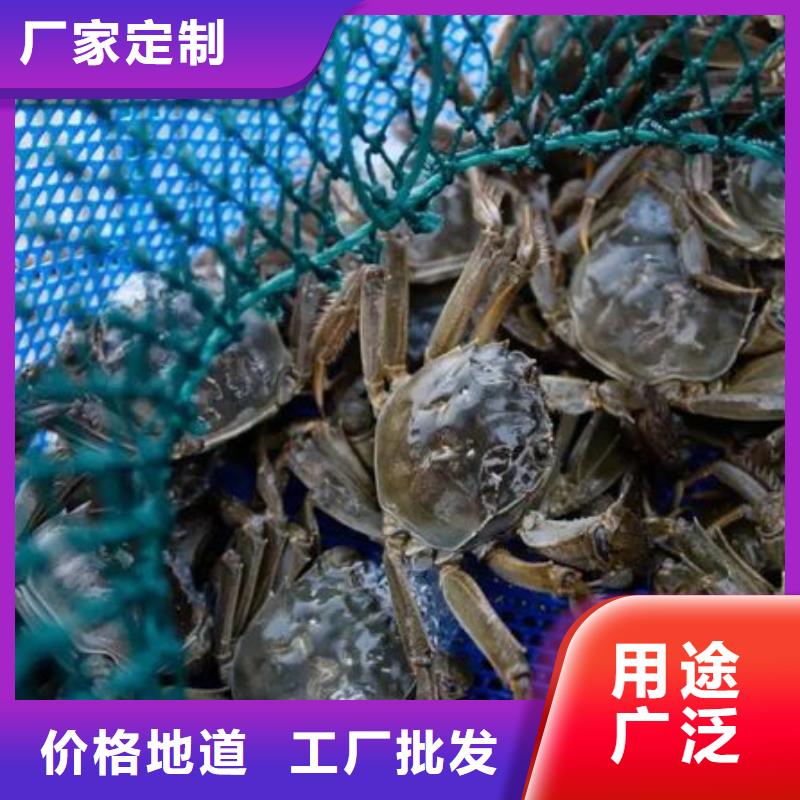 正宗阳澄湖大闸蟹价格