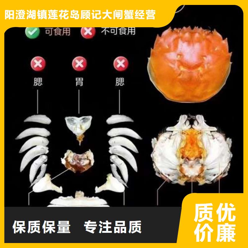 陽澄湖大閘蟹就近倉庫發車