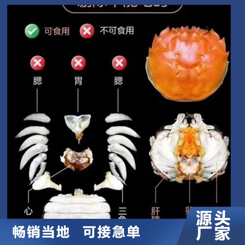 |翼城|乡宁|晋城|晋中|朔州|太原|运城顾记【螃蟹】_阳澄湖大闸蟹实时报价