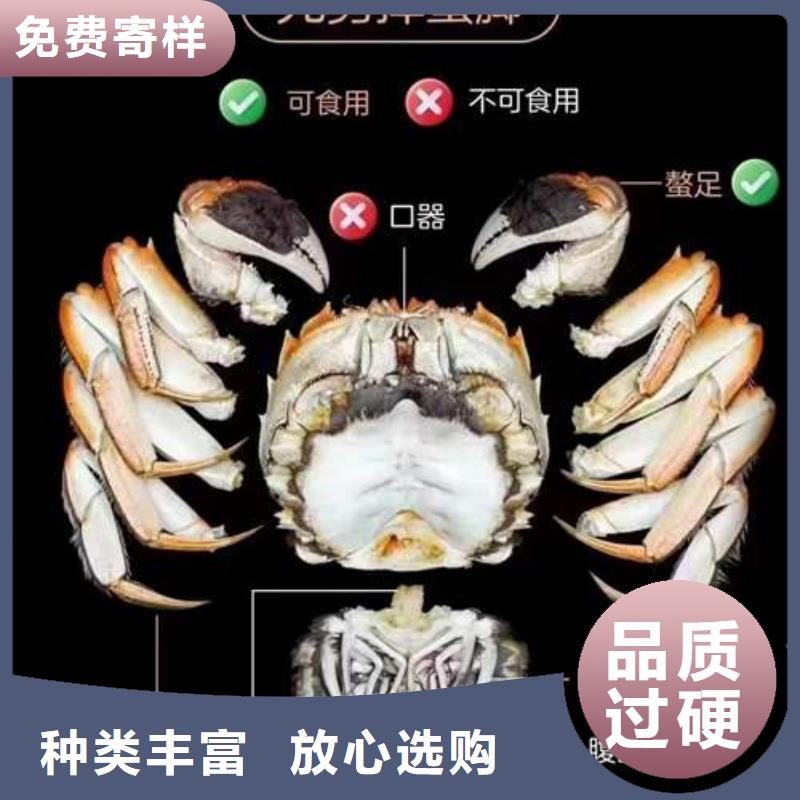 【螃蟹阳澄湖大闸蟹品质有保障】