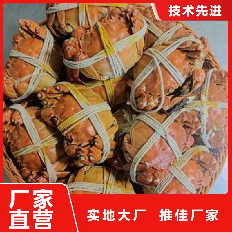 【螃蟹阳澄湖大闸蟹品质有保障】