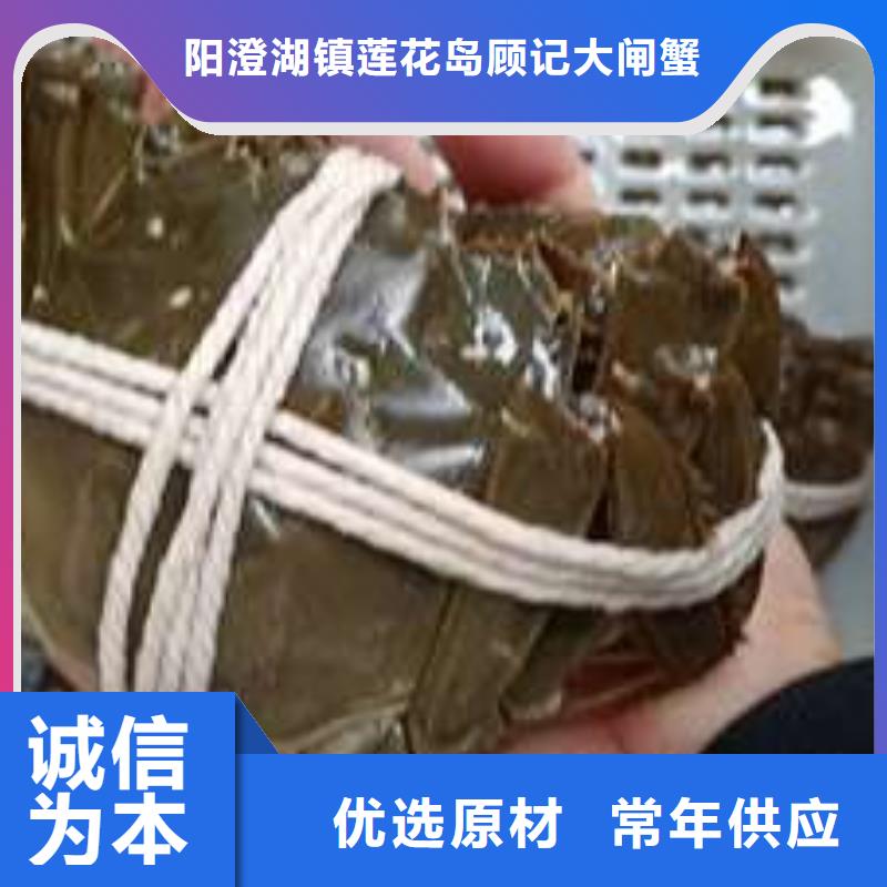 螃蟹,【哪里卖阳澄湖大闸蟹】以质量求生存_阳澄湖镇岛顾记大闸蟹经营部(泰州市分公司)