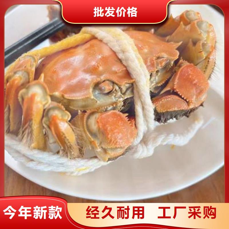 厂家大量现货【螃蟹】 阳澄湖大闸蟹多少钱专业生产N年顾记阳澄湖大闸蟹网上订购