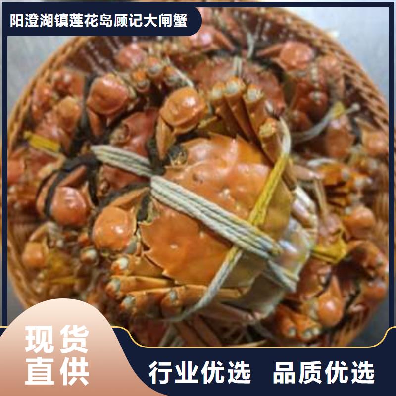 隰县|乡宁|朔州|运城|吕梁|晋城【螃蟹】_阳澄湖大闸蟹实时报价-阳澄湖镇岛顾记大闸蟹经营部(临汾市分公司)