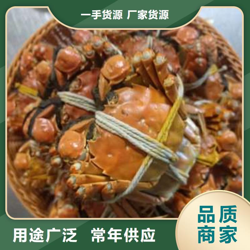 【螃蟹】_阳澄湖大闸蟹实时报价-市场覆盖|襄汾|蒲县|朔州|忻州|吕梁|晋城|阳泉|太原|晋中-企业旺旺