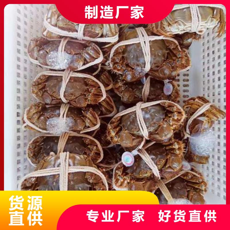 顾记阳澄湖大闸蟹网上订购【螃蟹】 阳澄湖大闸蟹多少钱专业生产N年qy55.com