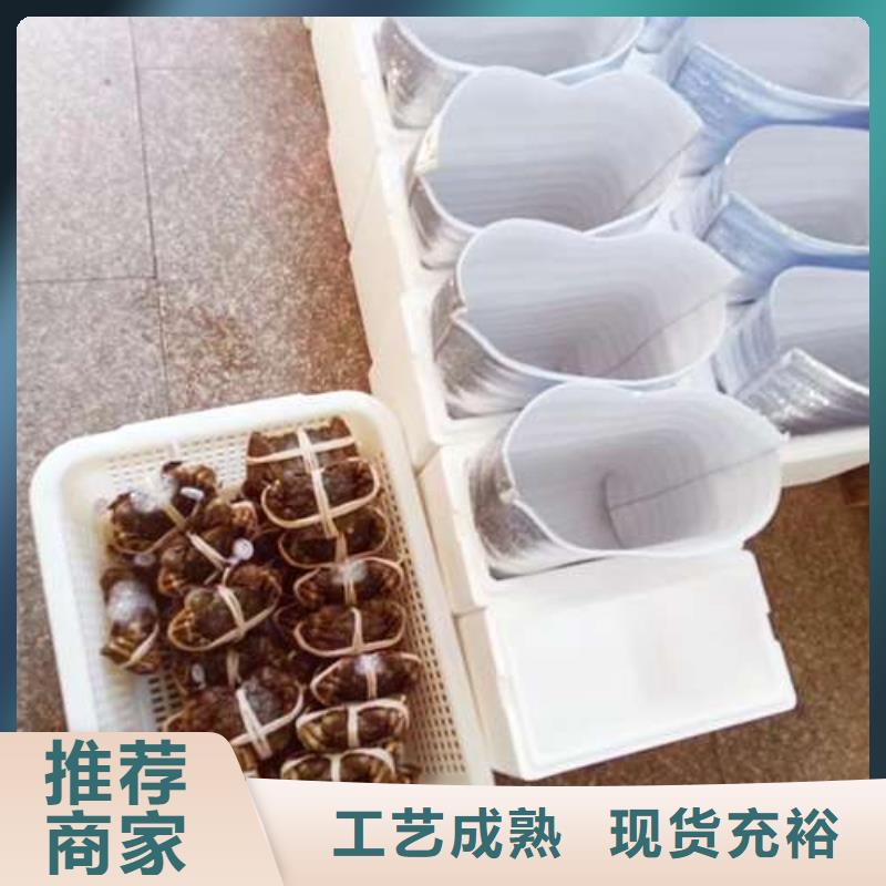 厂家大量现货【螃蟹】 阳澄湖大闸蟹多少钱专业生产N年顾记阳澄湖大闸蟹网上订购