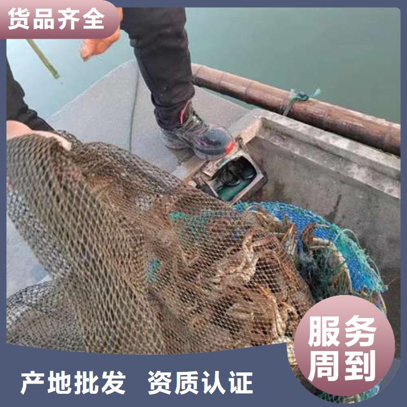发货速度快的阳澄湖大闸蟹批发商