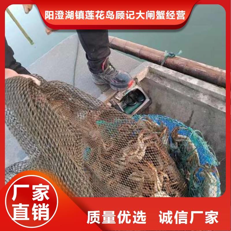 【螃蟹】_阳澄湖大闸蟹实时报价-市场覆盖|襄汾|蒲县|朔州|忻州|吕梁|晋城|阳泉|太原|晋中-企业旺旺