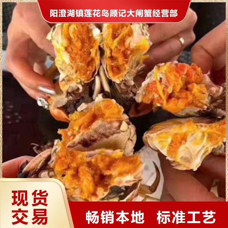 【专注生产N年螃蟹阳澄湖大闸蟹品质有保障】