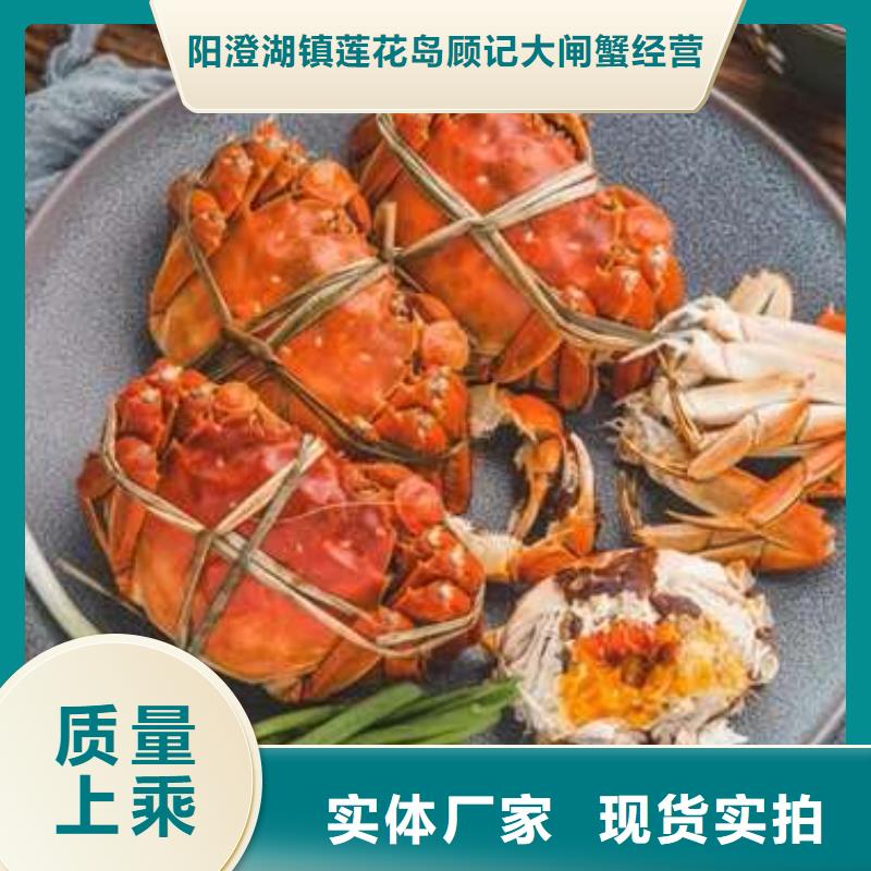 阳澄湖大闸蟹厂家技术领先