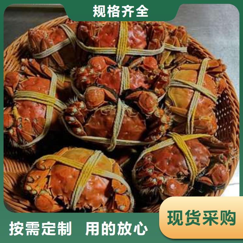 【专注生产N年螃蟹阳澄湖大闸蟹品质有保障】