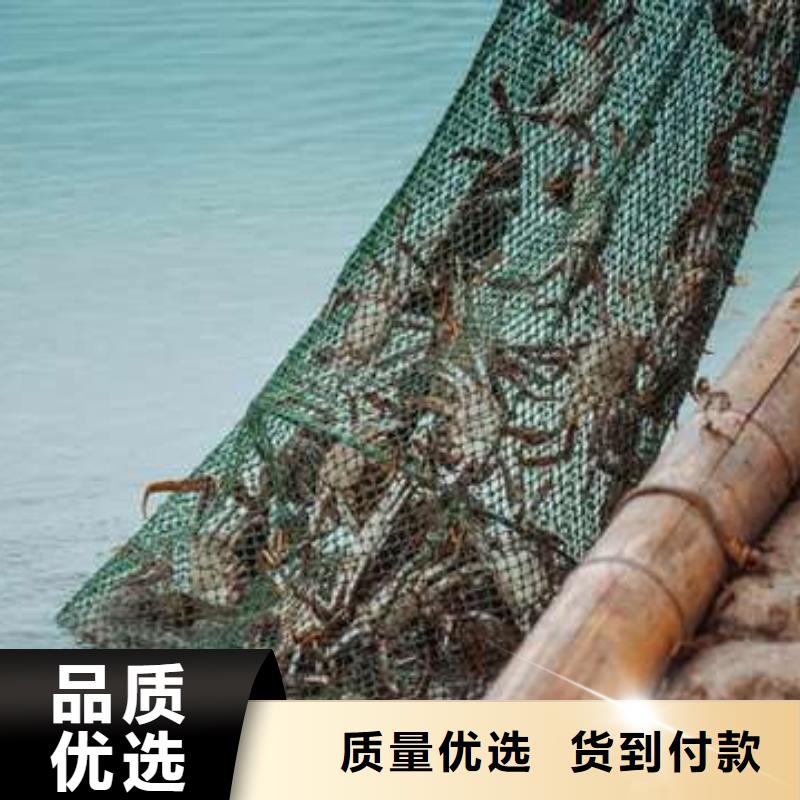 【螃蟹】哪里卖阳澄湖大闸蟹卓越品质保障-阳澄湖镇岛顾记大闸蟹经营部(贺州市分公司)