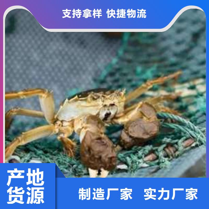 顾记阳澄湖大闸蟹网上订购【螃蟹】 阳澄湖大闸蟹多少钱专业生产N年qy55.com
