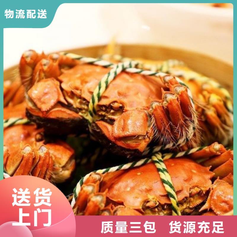 阳澄湖大闸蟹厂家供应批发