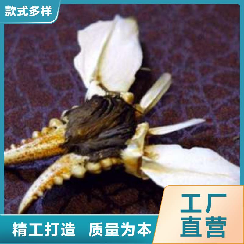 螃蟹,【哪里卖阳澄湖大闸蟹】以质量求生存_阳澄湖镇岛顾记大闸蟹经营部(泰州市分公司)