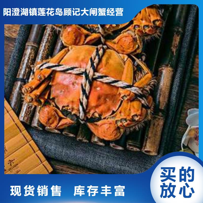 螃蟹,【哪里卖阳澄湖大闸蟹】以质量求生存|高港|靖江|苏州|盐城|无锡|扬州|徐州qy55.com
