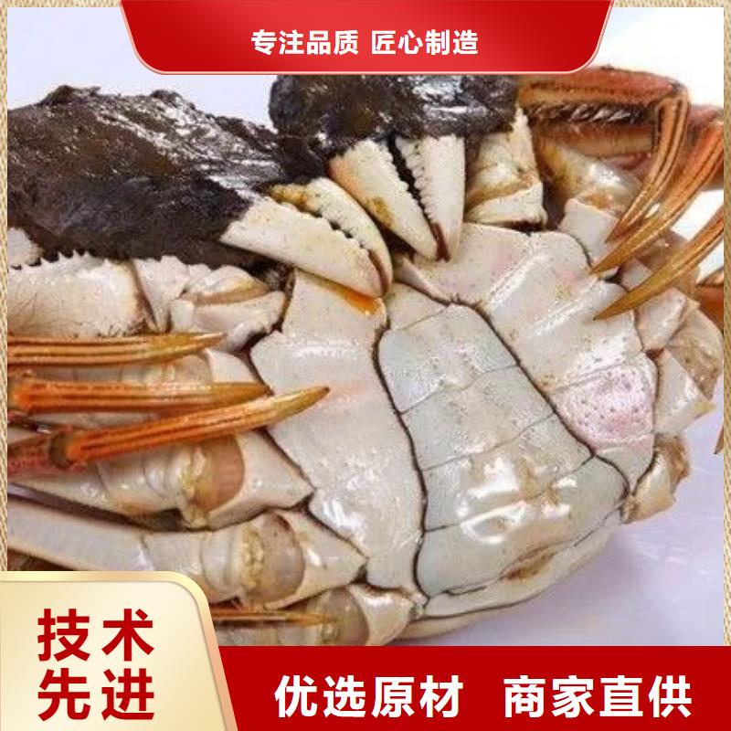 【专注生产N年螃蟹阳澄湖大闸蟹品质有保障】