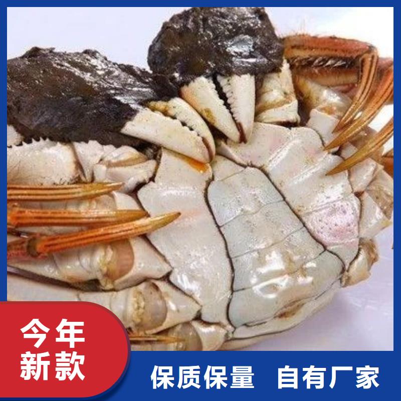 【螃蟹】_阳澄湖大闸蟹订购欢迎来厂考察_阳澄湖镇岛顾记大闸蟹经营部(汕尾市分公司)