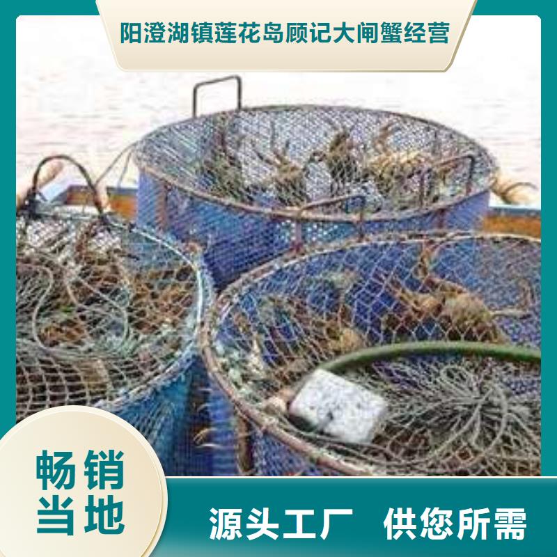 注重阳澄湖大闸蟹质量的生产厂家