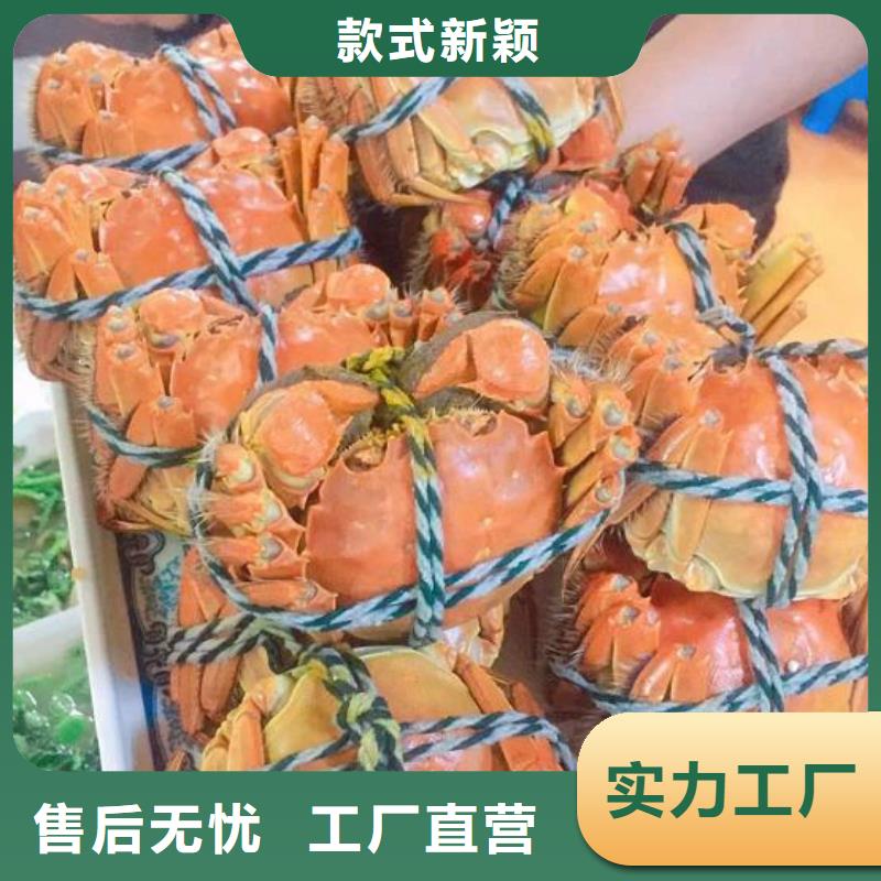 【专注生产N年螃蟹阳澄湖大闸蟹品质有保障】