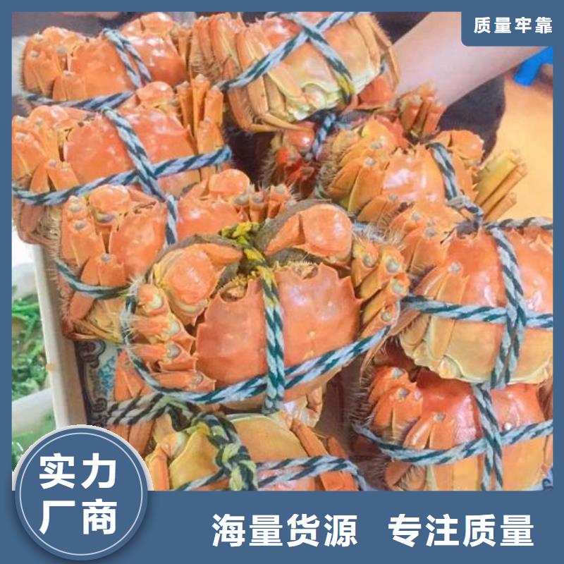 【 螃蟹_阳澄湖大闸蟹品质保证】-服务区域包括桑植|慈利|娄底|常德|长沙|永州|邵阳|湘西等-产品视频
