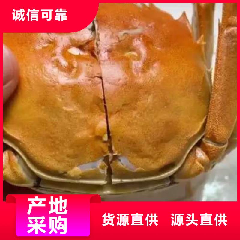 【螃蟹】_阳澄湖大闸蟹订购欢迎来厂考察_阳澄湖镇岛顾记大闸蟹经营部(汕尾市分公司)
