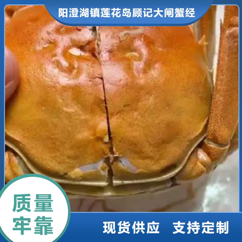 【专注生产N年螃蟹阳澄湖大闸蟹品质有保障】
