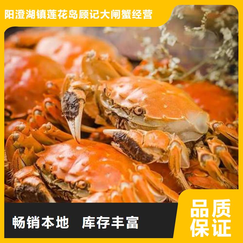 螃蟹【阳澄湖大闸蟹】品质无所畏惧-阳澄湖镇岛顾记大闸蟹经营部(宁德市分公司)