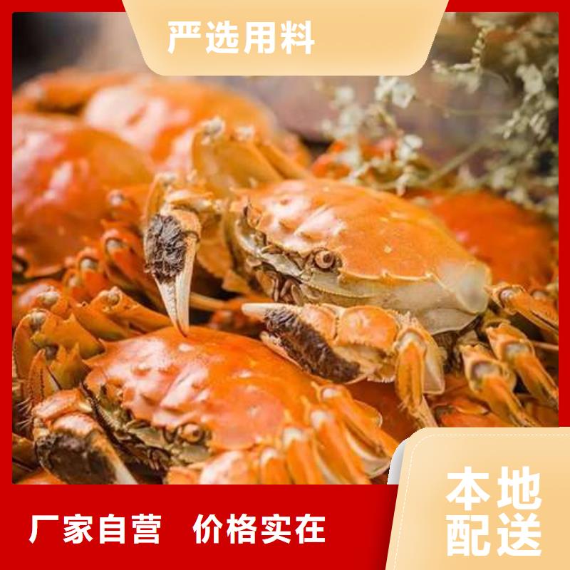 阳澄湖大闸蟹网上订购视频-河北省衡水市顾记阳澄湖大闸蟹网上订购可服务区域饶阳|枣强|唐山|石家庄|张家口|沧州等