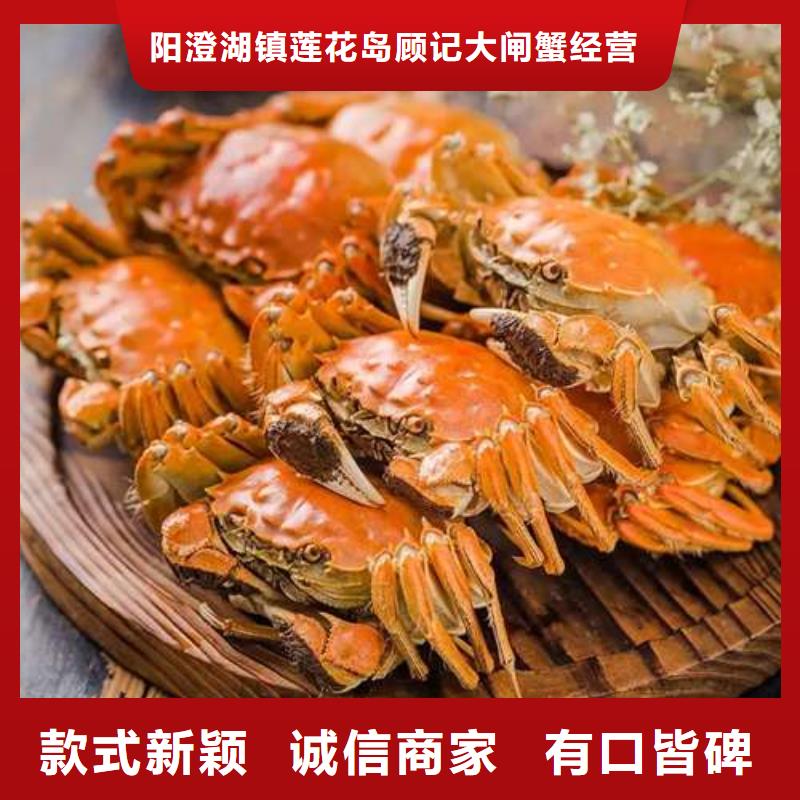 【专注生产N年螃蟹阳澄湖大闸蟹品质有保障】