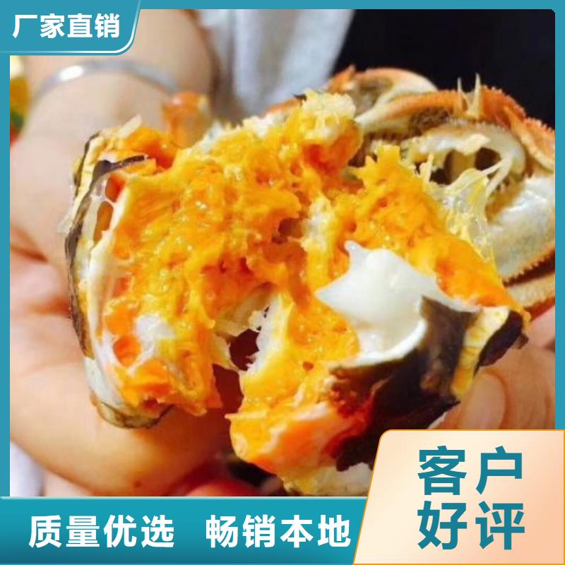 阳澄湖大闸蟹网上订购-视频-东至|石台|马鞍山|亳州|滁州|铜陵|合肥|淮北顾记阳澄湖大闸蟹网上订购_ 阳澄湖镇岛顾记大闸蟹经营部(池州市分公司)