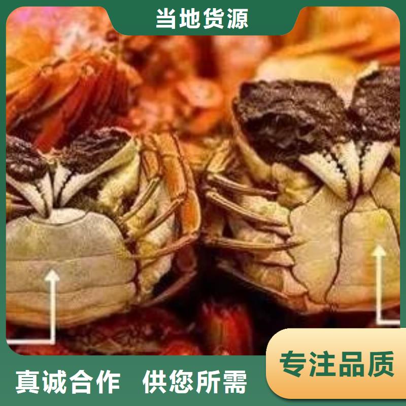 厂家精心打造 螃蟹-【阳澄湖大闸蟹】现货充裕