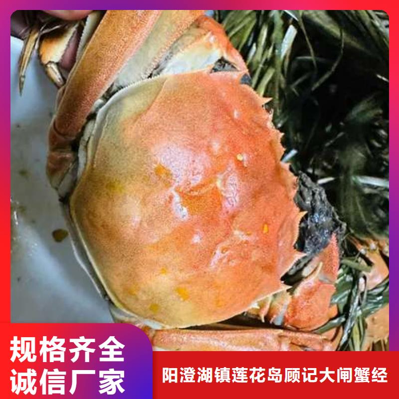 【 螃蟹_阳澄湖大闸蟹品质保证】