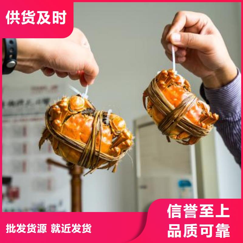 |翼城|乡宁|晋城|晋中|朔州|太原|运城顾记【螃蟹】_阳澄湖大闸蟹实时报价