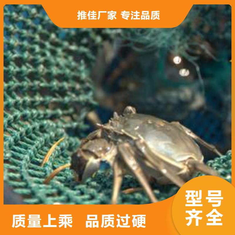 用心经营 螃蟹【阳澄湖大闸蟹】品质无所畏惧_企业旺旺