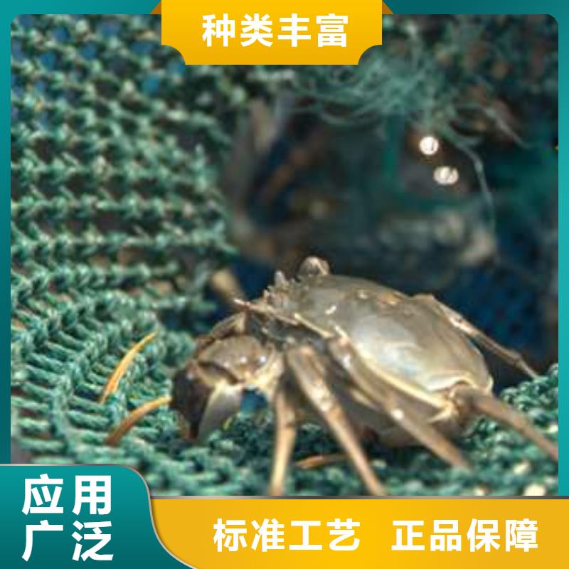 【 螃蟹_阳澄湖大闸蟹品质保证】