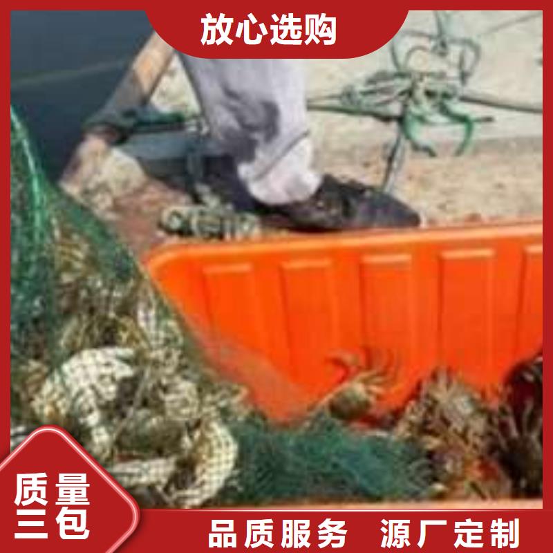 厂家精心打造 螃蟹-【阳澄湖大闸蟹】现货充裕