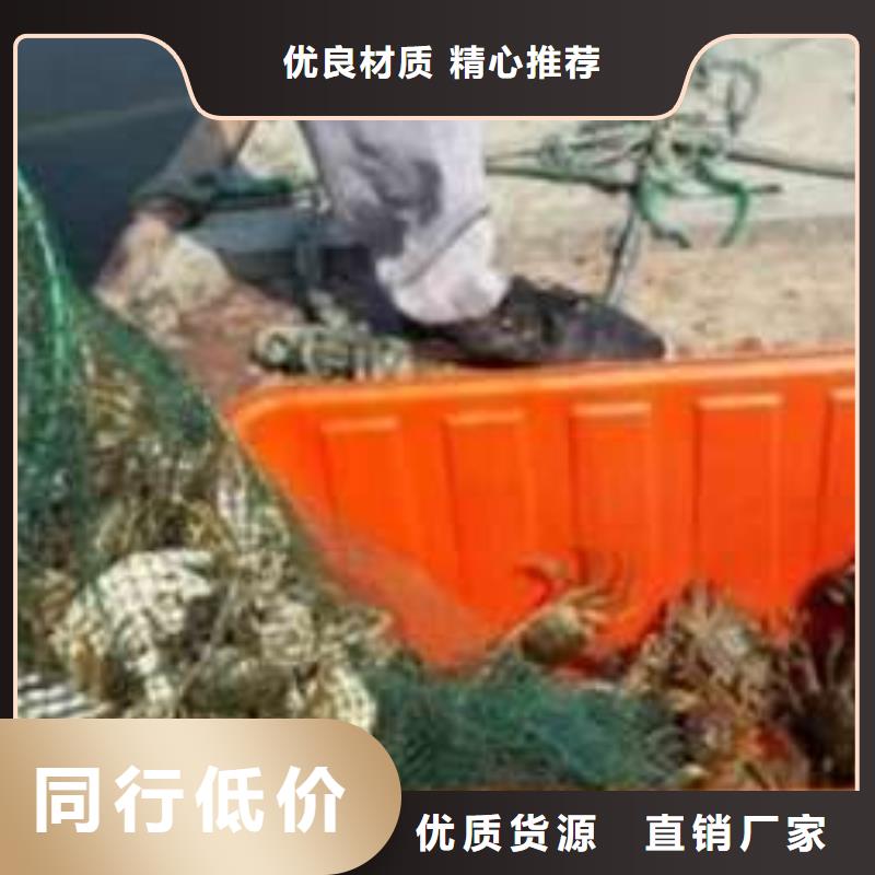 【 螃蟹 阳澄湖大闸蟹订购生产加工】|阳澄湖大闸蟹网上订购-阳澄湖镇岛顾记大闸蟹经营部(黄冈市分公司)