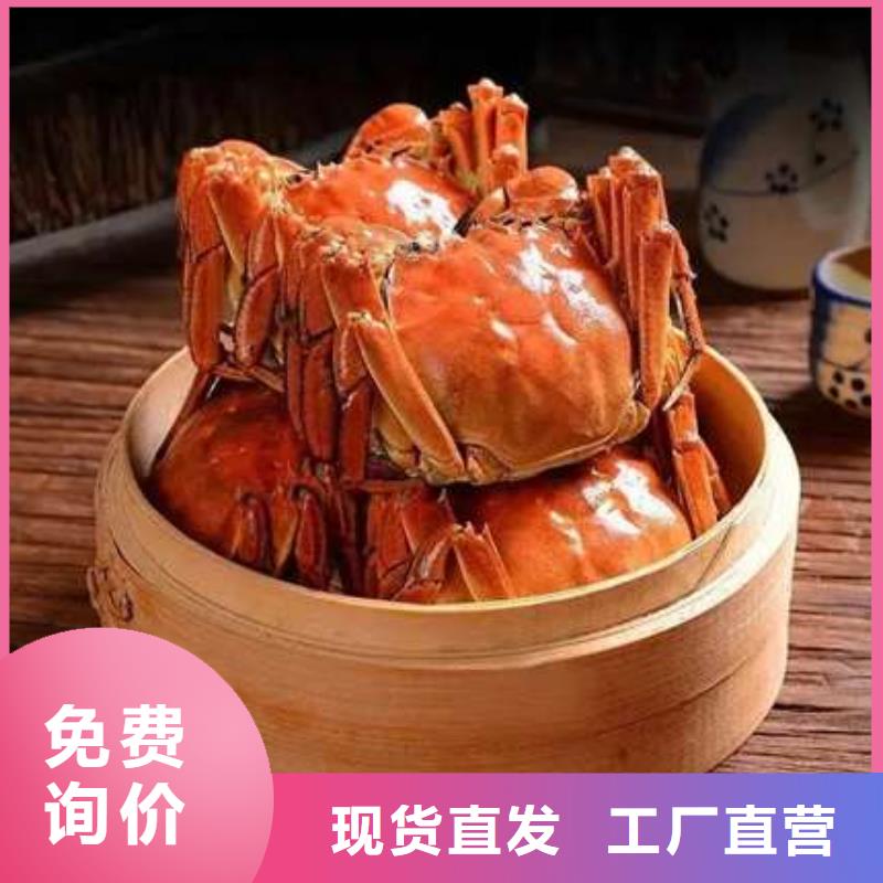 阳澄湖大闸蟹网上订购-视频-古田|周宁|福州|漳州|龙岩|三明|厦门阳澄湖大闸蟹网上订购实力商家供货稳定-阳澄湖镇岛顾记大闸蟹经营部(宁德市分公司)