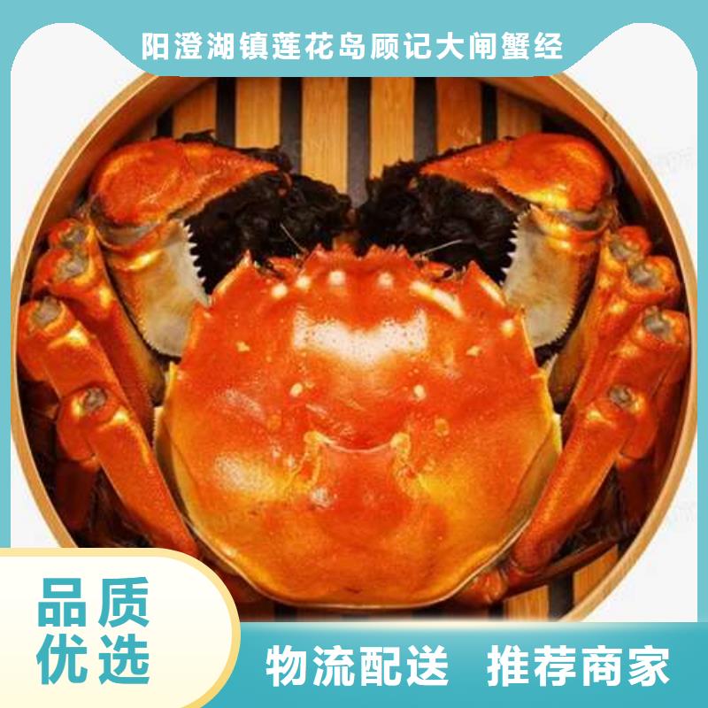 【螃蟹阳澄湖大闸蟹品质有保障】当地货源