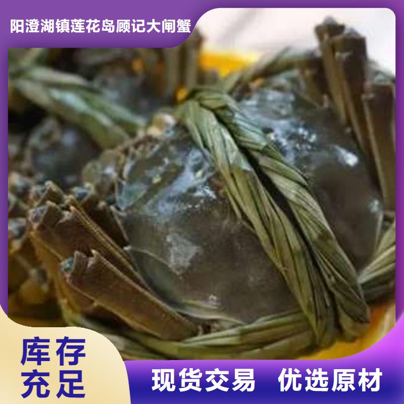 阳澄湖大闸蟹网上订购-视频-饶阳|景县|承德|邯郸|保定|廊坊顾记阳澄湖大闸蟹网上订购_ 阳澄湖镇岛顾记大闸蟹经营部(衡水市分公司)